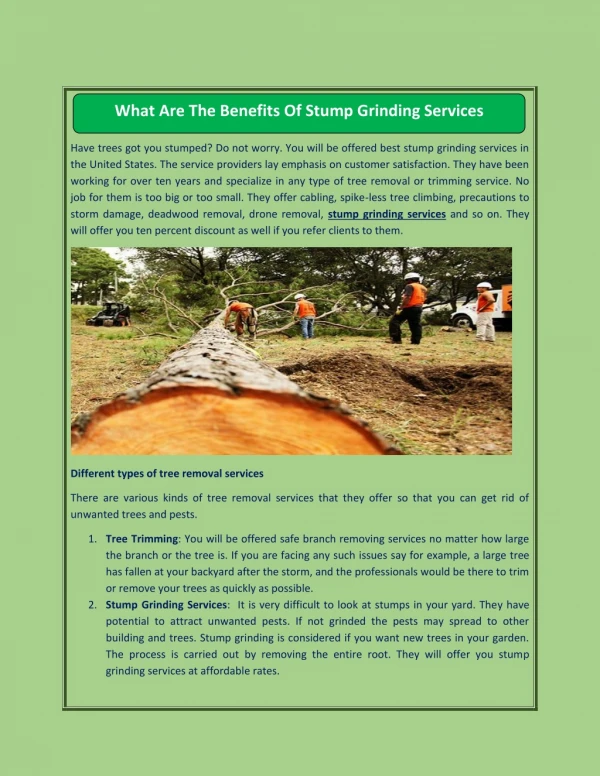 What Are The Benefits Of Stump Grinding Services