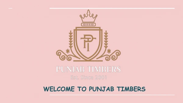 Timber Wood Supplier Punjab