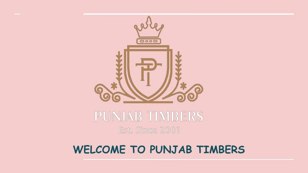 welcome to punjab timbers