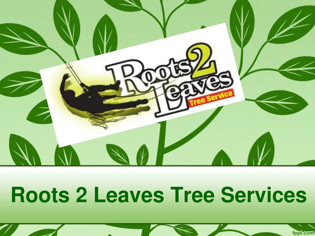 roots 2 leaves tree services