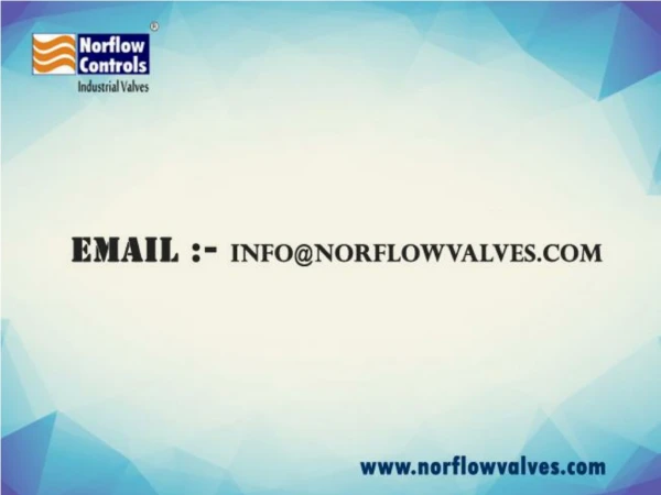 Norflow Controls - Check Valve Manufacturer