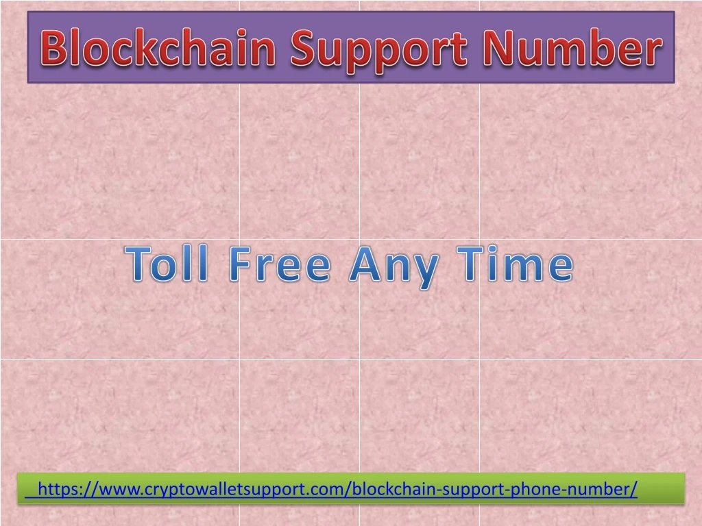 blockchain s upport number