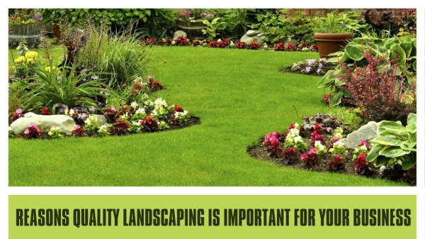 Enhance your Backyard Beautiful