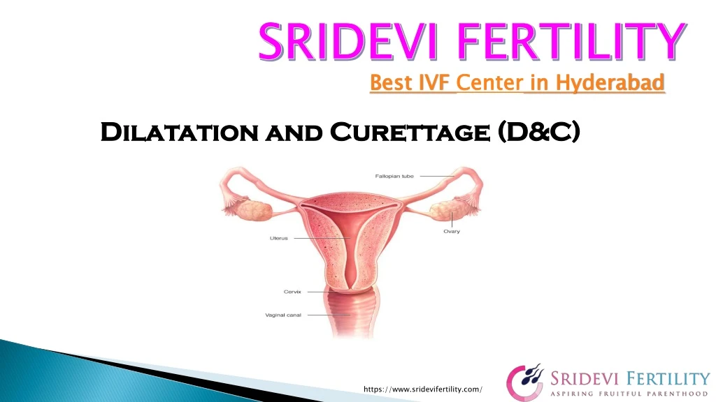 s ridevi fertility