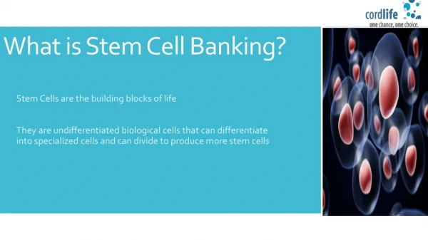 Stem Cell Banking, Cord Blood Bank - CordlifeIndia