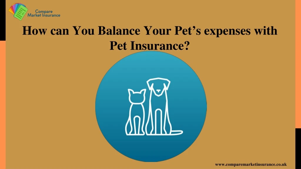 how can you balance your pet s expenses with