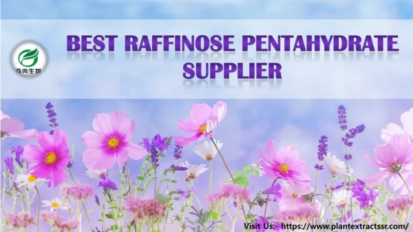 Best Raffinose Pentahydrate Supplier