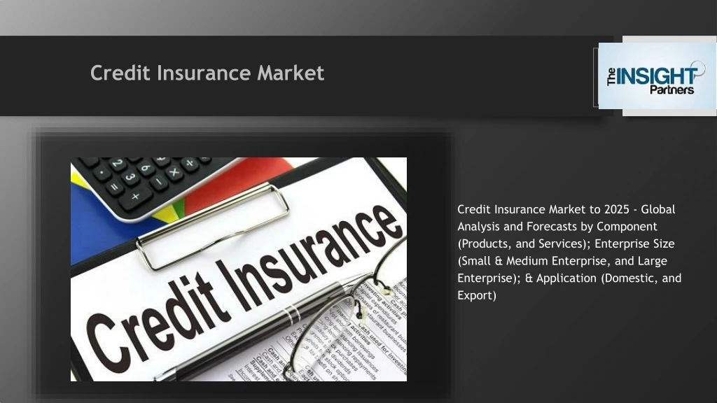 credit insurance market