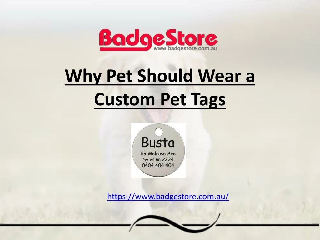 why pet should wear a custom pet tags
