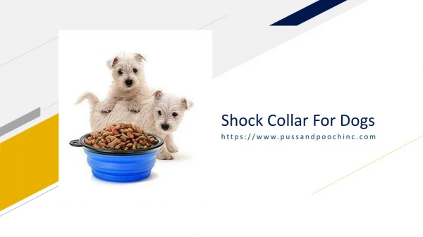 Shock Collar For Dogs