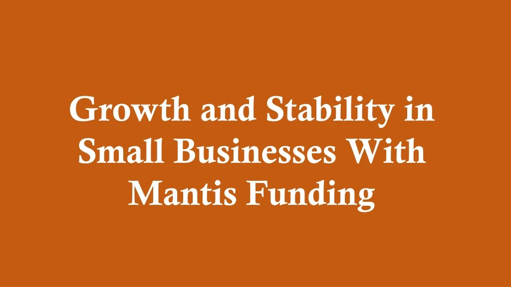 growth and stability in small businesses with