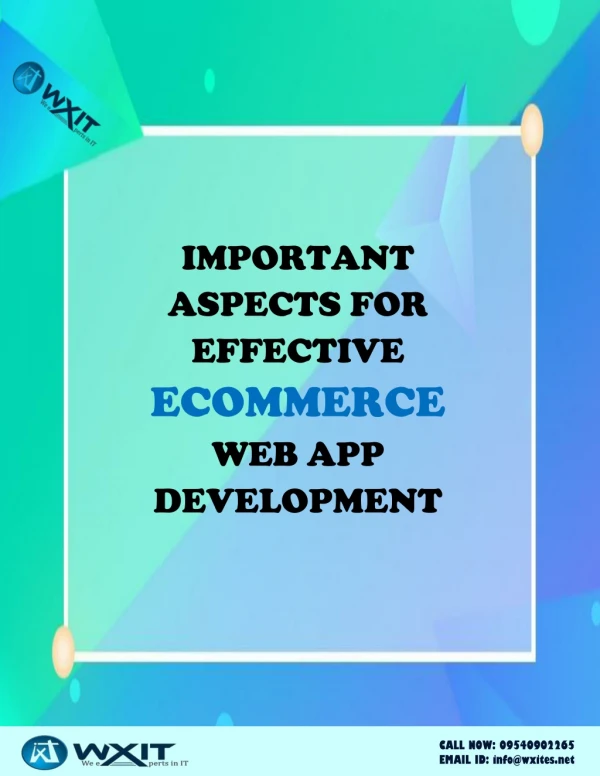 Important Aspects for Effective Ecommerce Web App Development