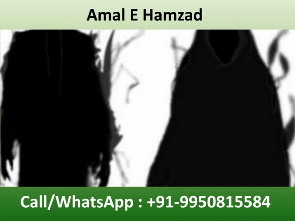 Amal E Hamzad