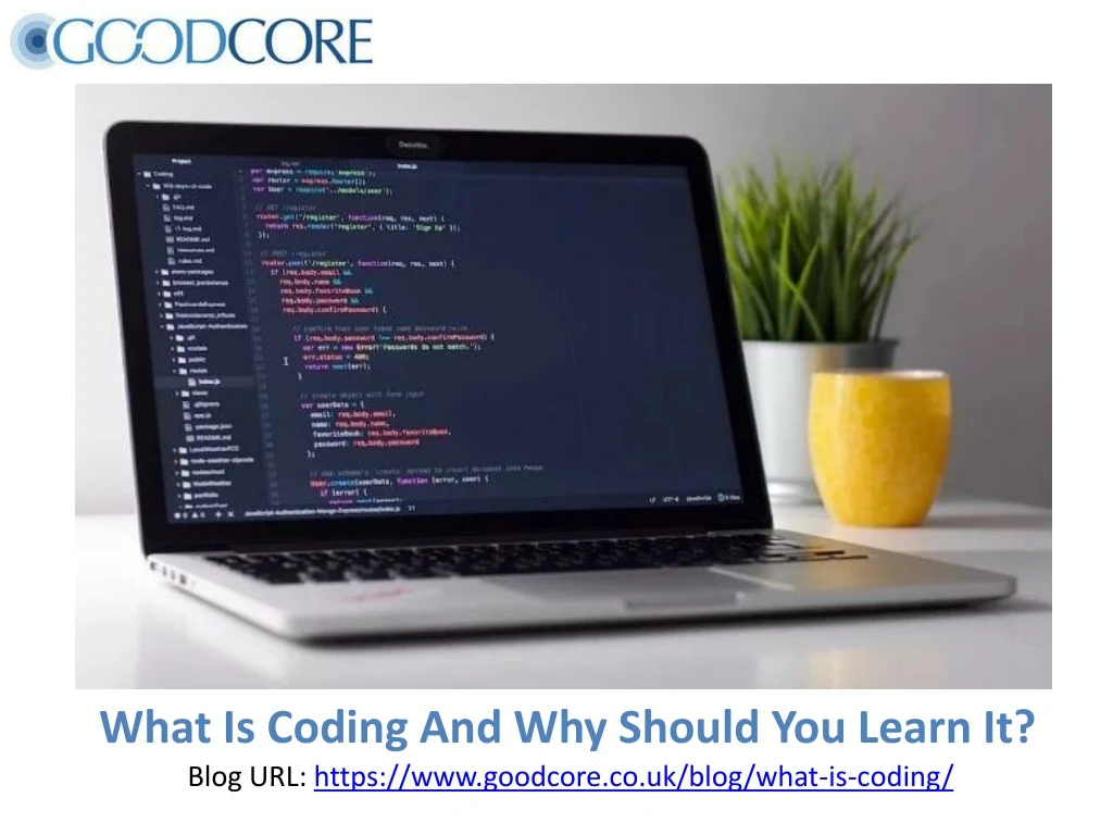what is coding and why should you learn it