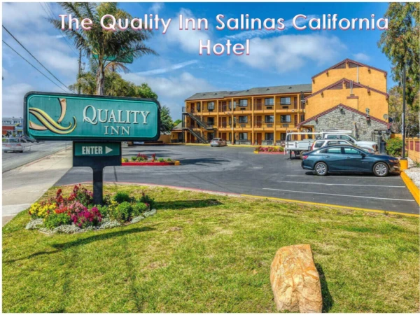 Visitors Planning To Travel Salinas, Ca And Looking For The Best Stay Option Shall Check This