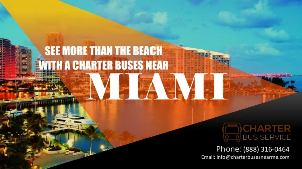 See More Than the Beach with a Charter Buses Near Miami