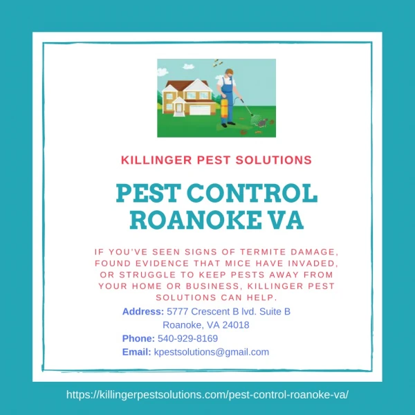killinger pest solutions pest control roanoke va
