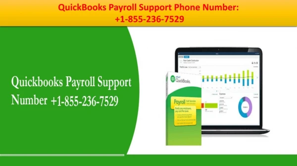 Get some more helpful facts about QB Payroll at QuickBooks Payroll Support Phone Number 1-855-236-7529