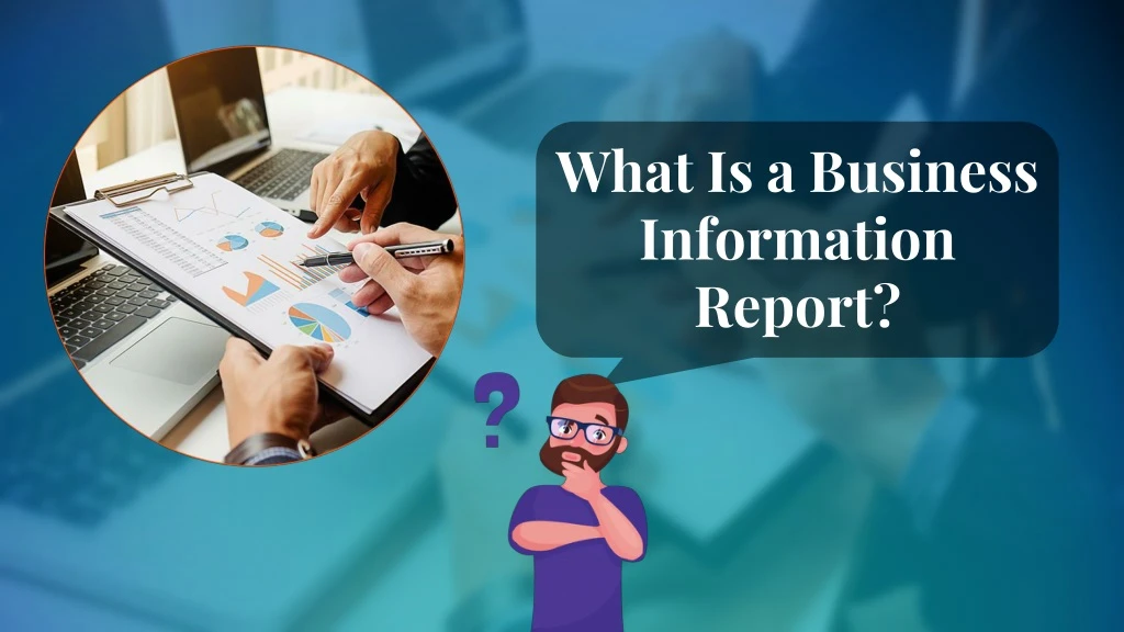 what is a business information report