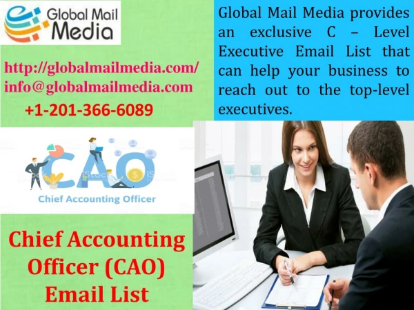 global mail media provides an exclusive c level