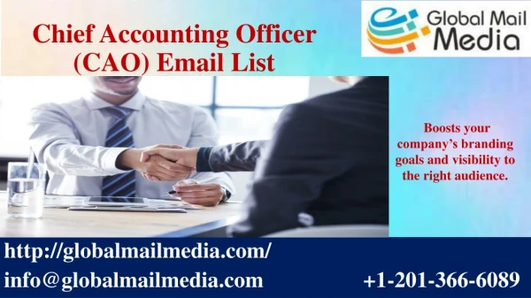 Chief Accounting Officer (CAO) Email List