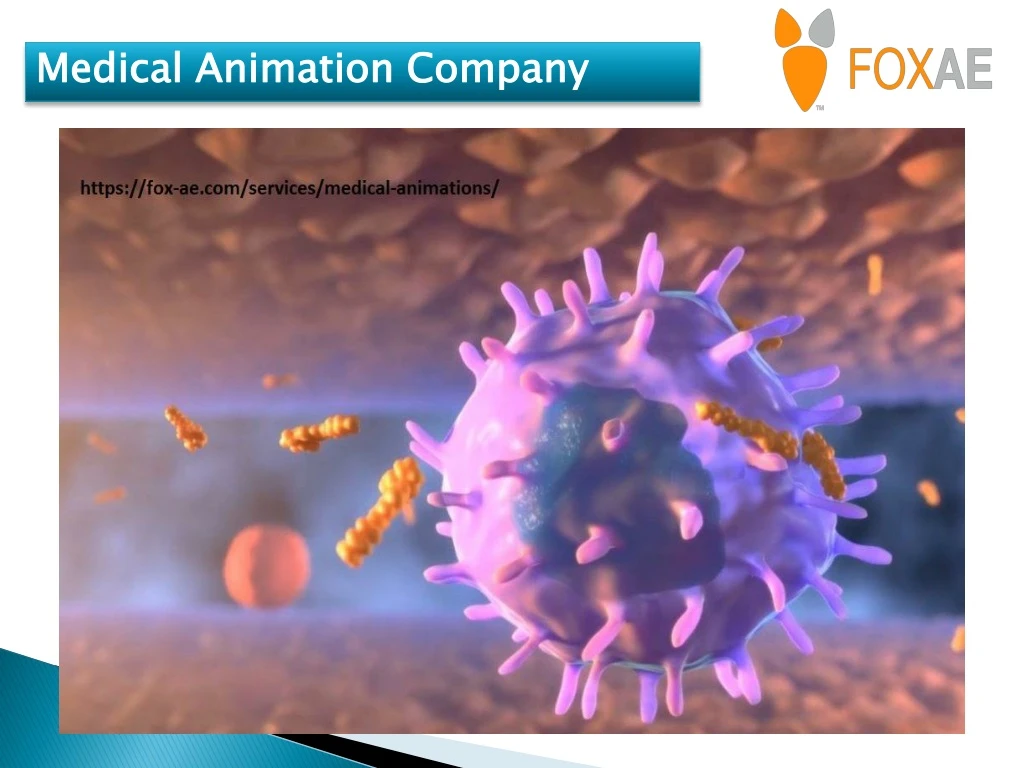medical animation company