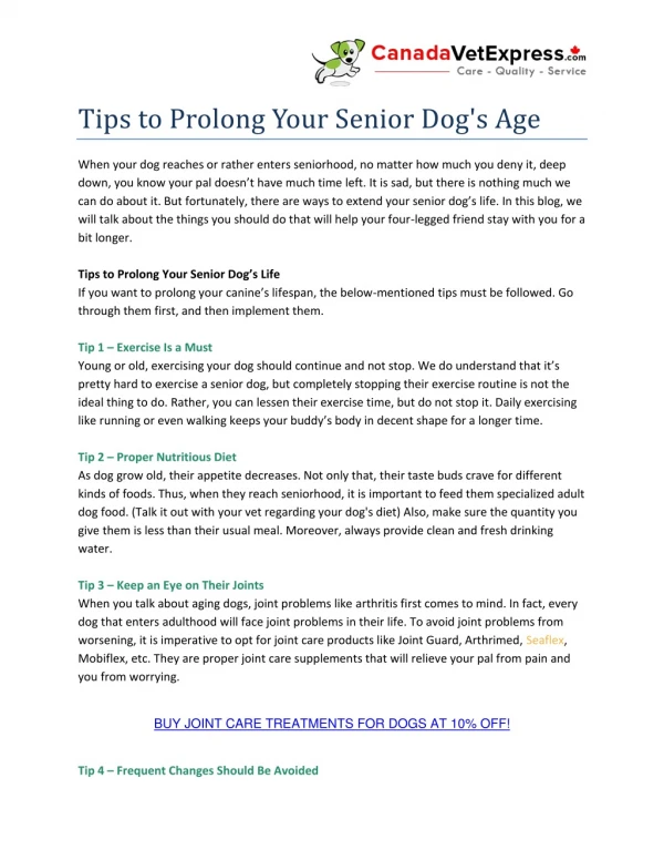 Tips to Prolong Your Senior Dog's Age