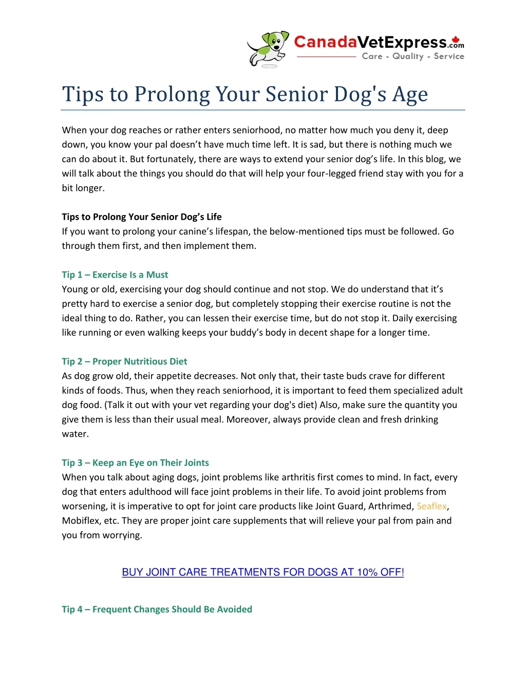 tips to prolong your senior dog s age