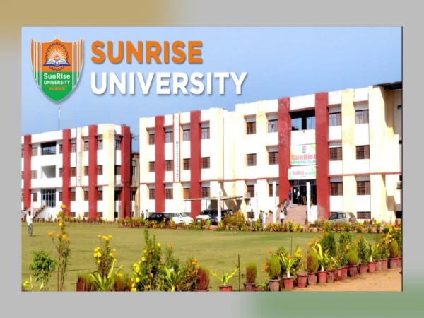 Get a job after studying from sunrise university