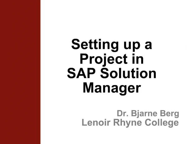 Setting up a Project in SAP Solution Manager