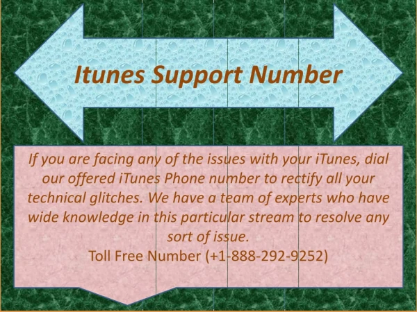 iTunes Support Number 1-888-292-9252 In USA/CANADA