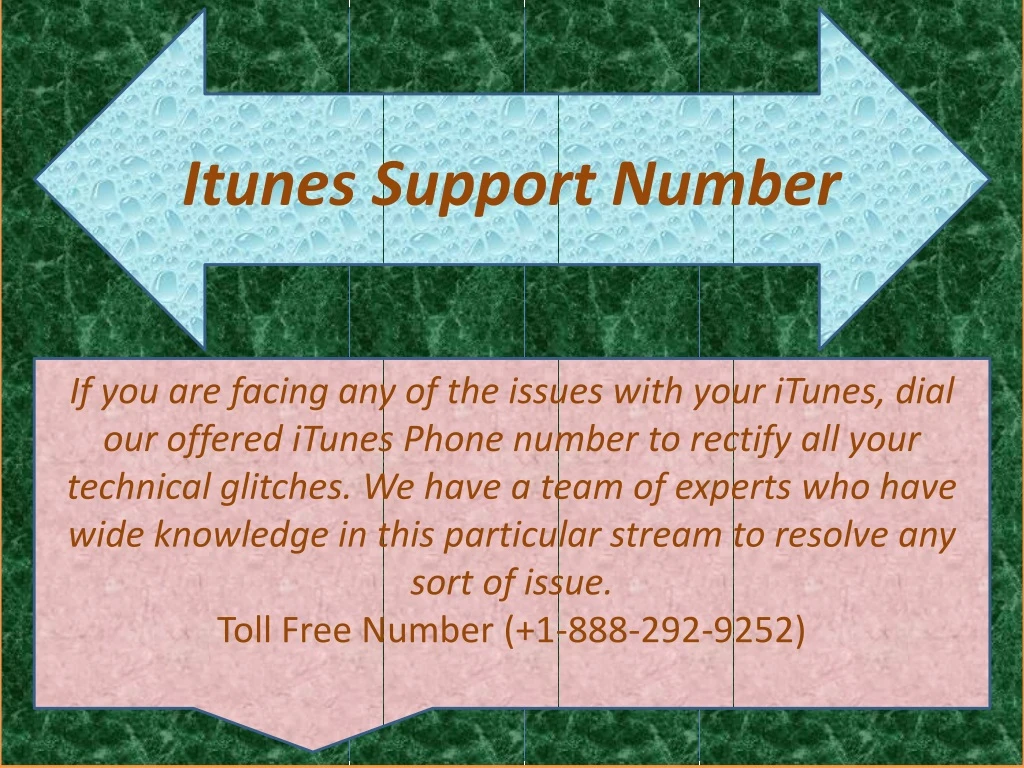 i tunes support number