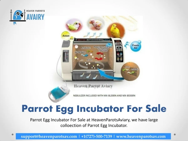 Parrot Egg Incubator for Sale to Growing Breeders of Birds