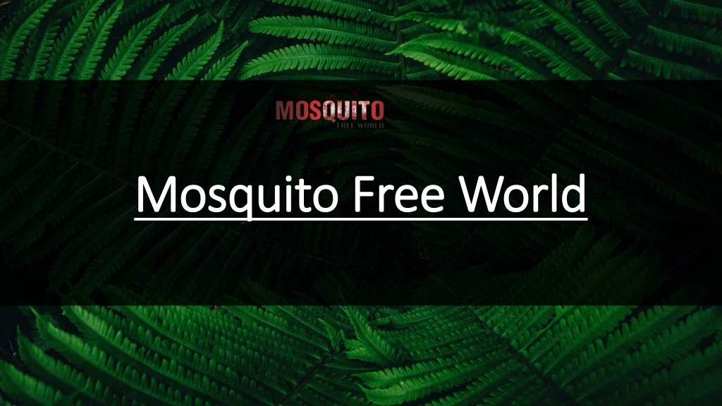 mosquito free world