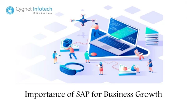 Importance of SAP for Business Growth