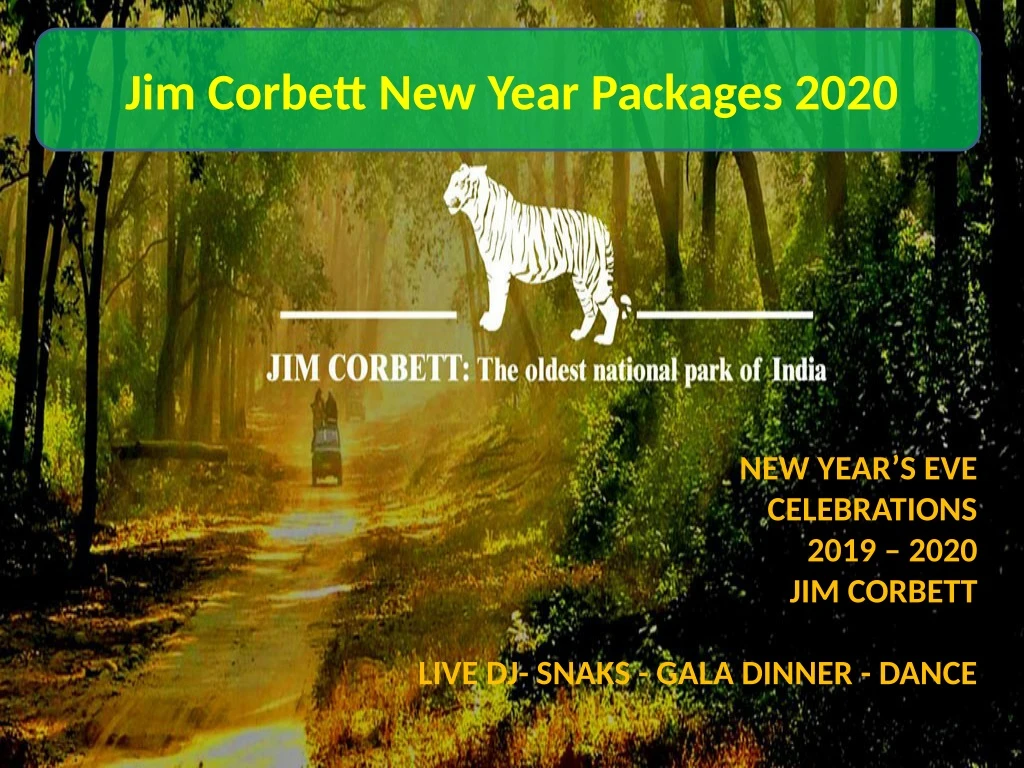 jim corbett new year packages 2020