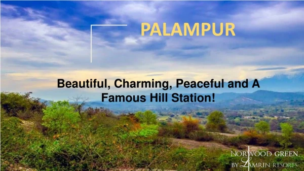 Explore Palampur Unique Attractions, Shopping, Activities, Nightlife, Hotels and Places