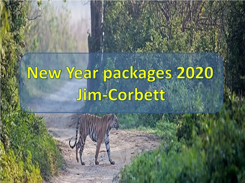 new year packages 2020 jim corbett