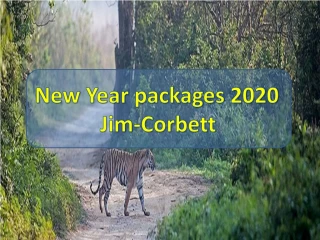 New Year celebrations in Jim Corbett | New Year Packages