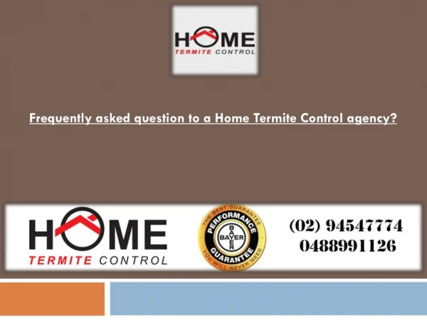 Frequently asked question to a Home Termite Control agency