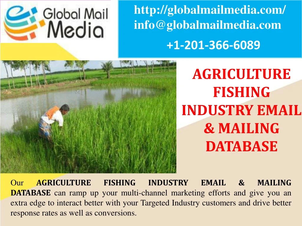 http globalmailmedia com info@globalmailmedia com