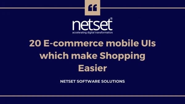 Top ecommerce developers in India - Netset Software Solutions