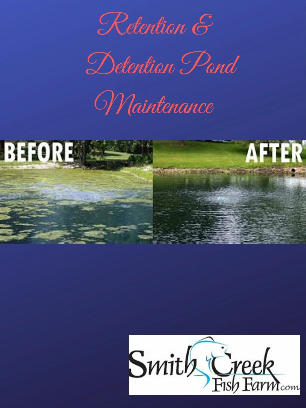 retention detention pond maintenance