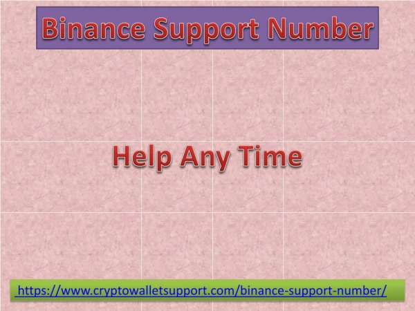 In Binance How Support Team Will Help?