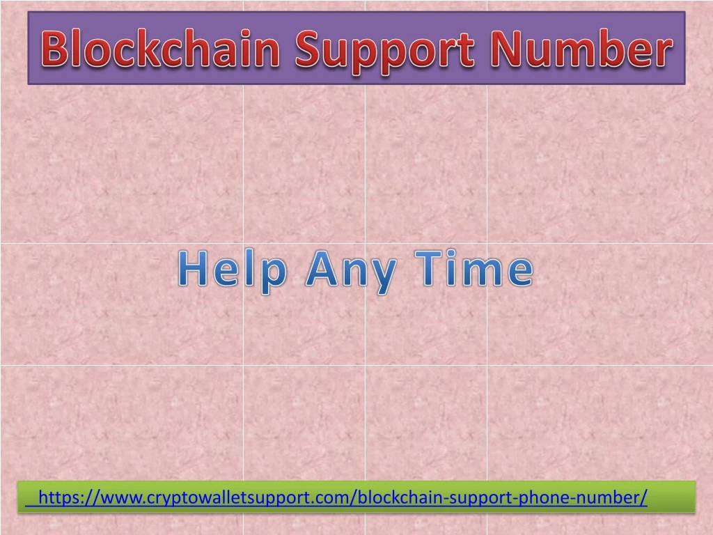 blockchain s upport number