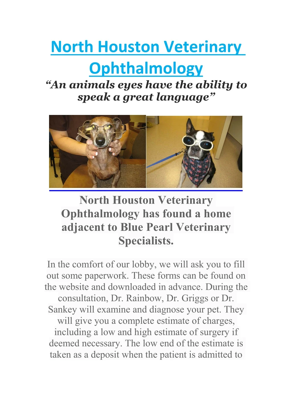north houston veterinary ophthalmology an animals
