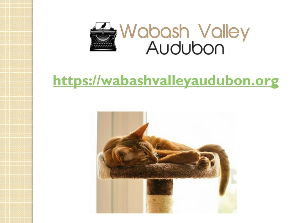 https wabashvalleyaudubon org