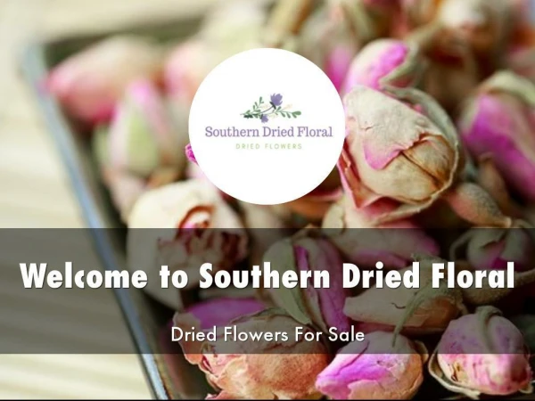 Detail Presentation About Southern Dried Floral