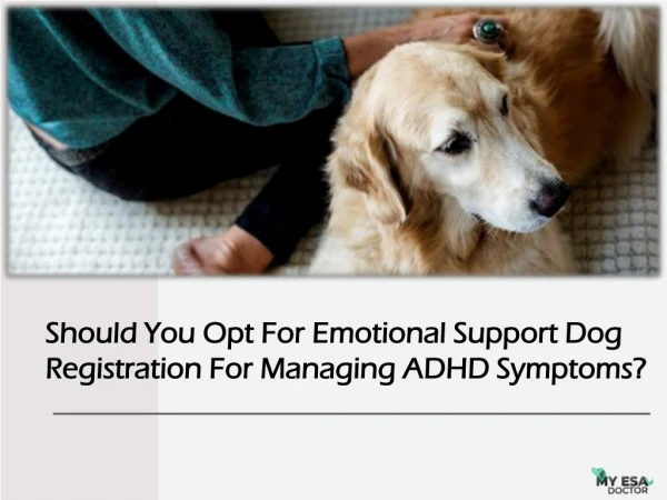Should You Opt For Emotional Support Dog Registration For Managing ADHD Symptoms?