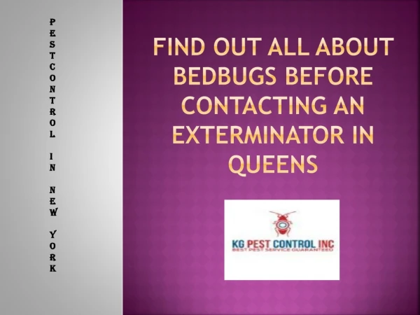 Find Out All About Bedbugs Before Contacting An Exterminator in Queens